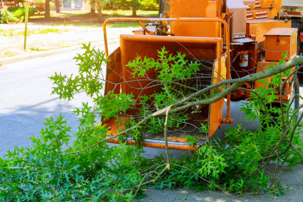Best Soil Testing and Treatment  in Leavenworth, WA