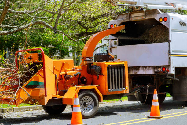 Best Firewood Processing and Delivery  in Leavenworth, WA